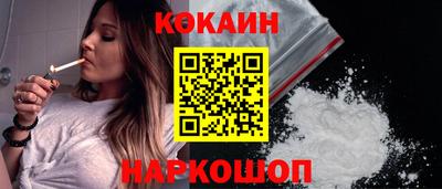 СК Новодвинск
