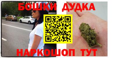 spice Новозыбков