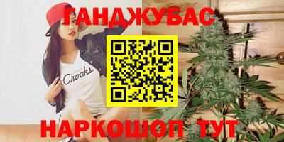 СК Новодвинск