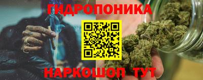 spice Новозыбков