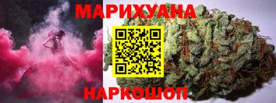 СК Новодвинск