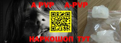 СК Новодвинск