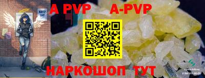 СК Новодвинск