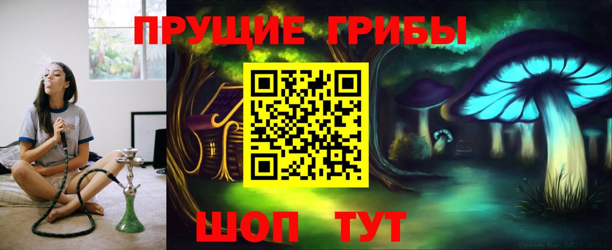 Псилоцибиновые грибы Psilocybe  Вход с VPN  Узловая 