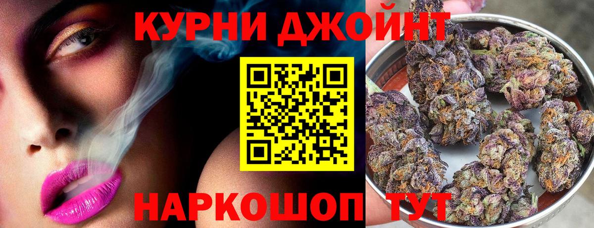 Конопля семена Узловая